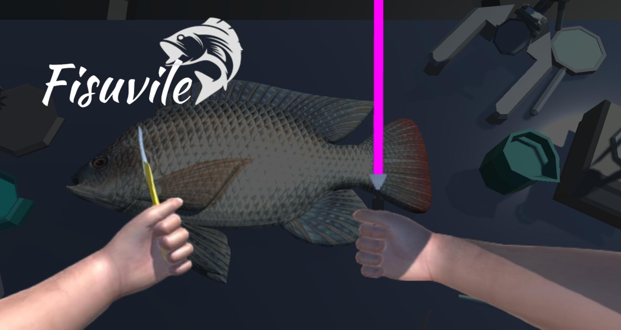 Fisuvile