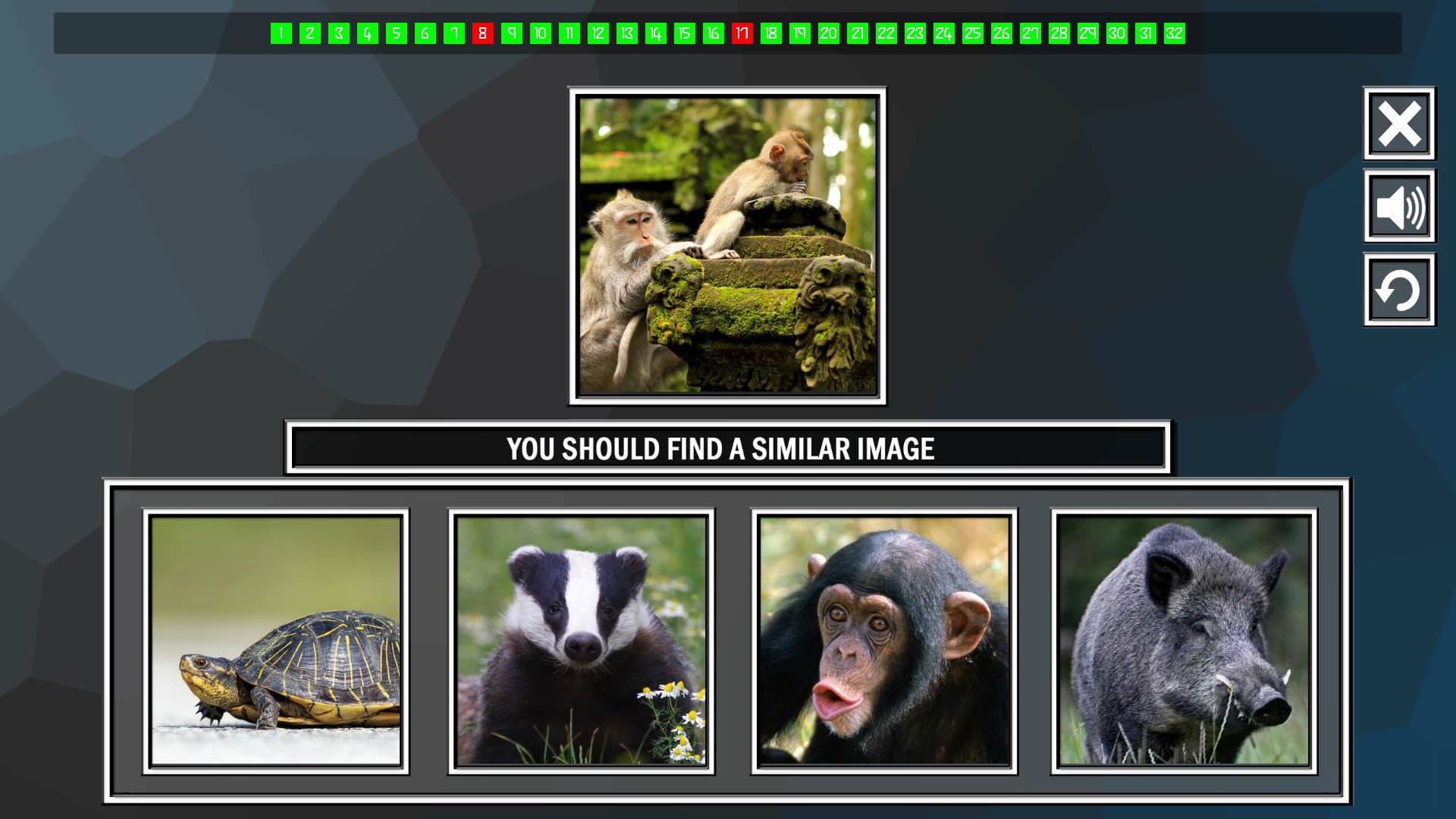 Repeat the image: Animals