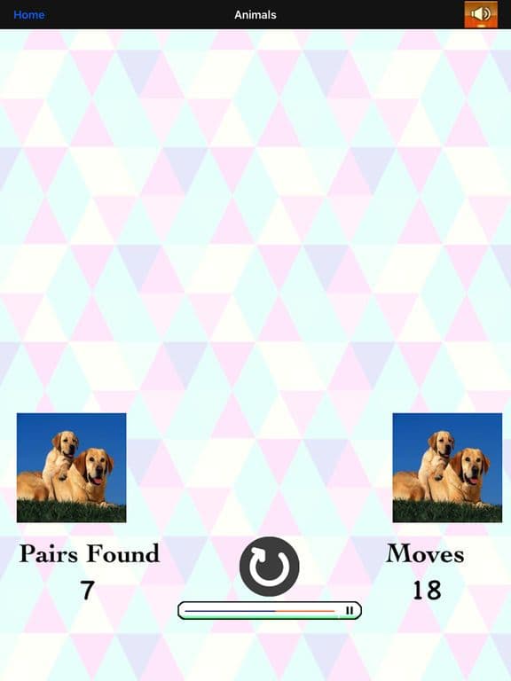 Match Card Pair..