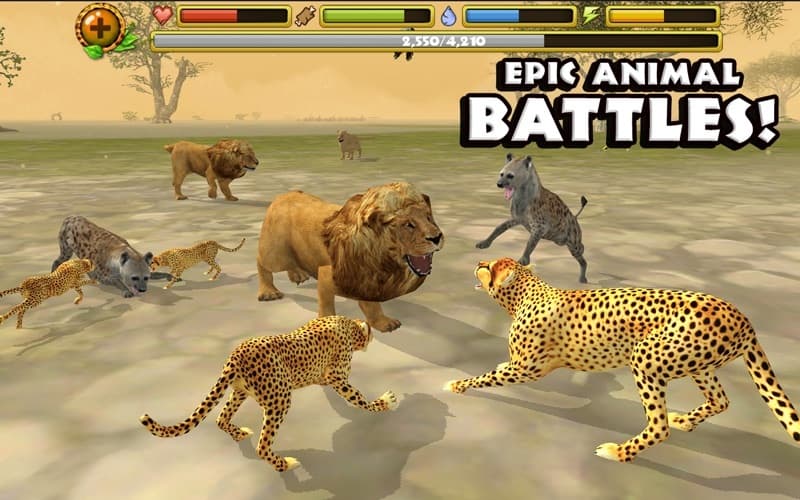 Cheetah Simulator