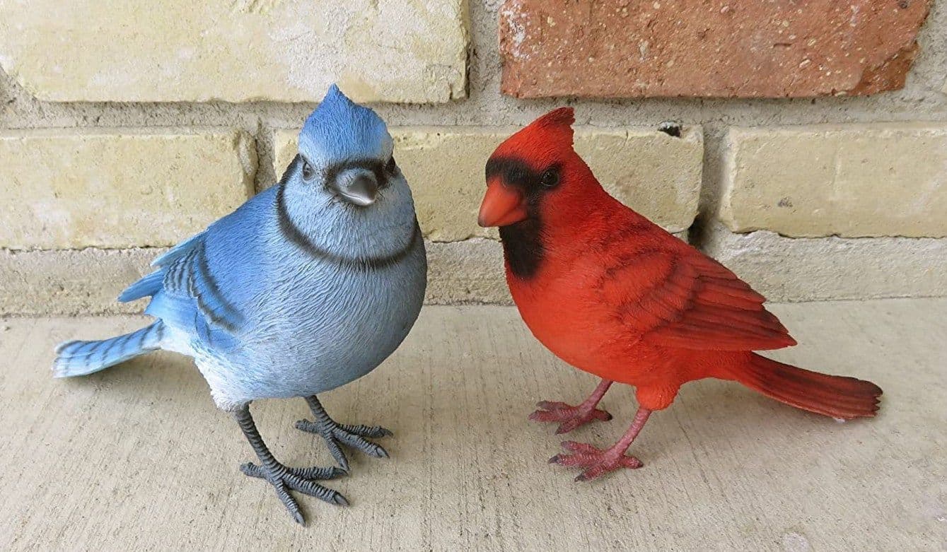 Upstander Bird