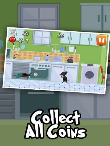 Hair Ballz - Cat Ball Attack on Crazy Angry Mice