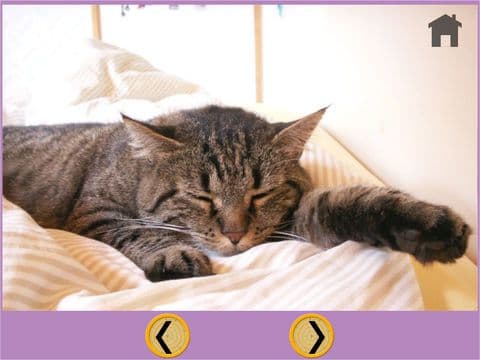 my kids and cats - free game