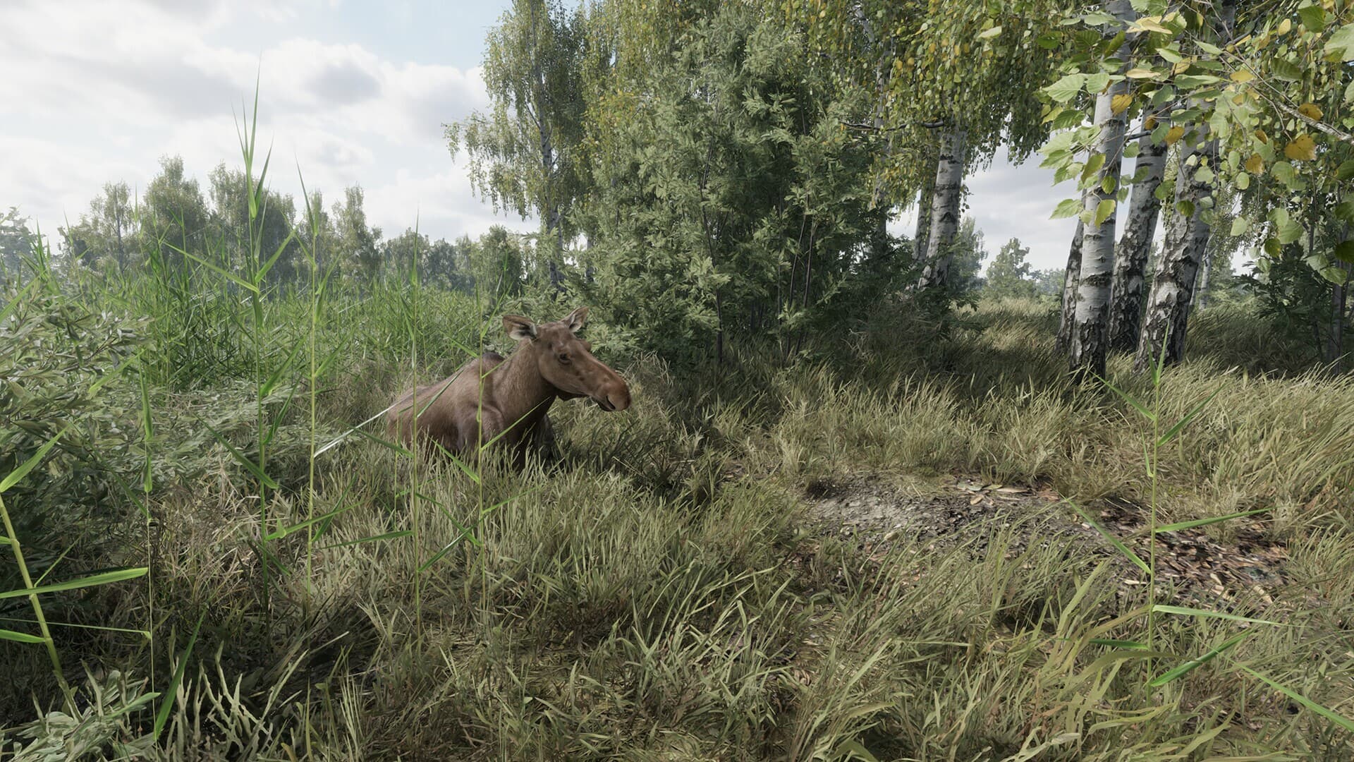On the Hunt