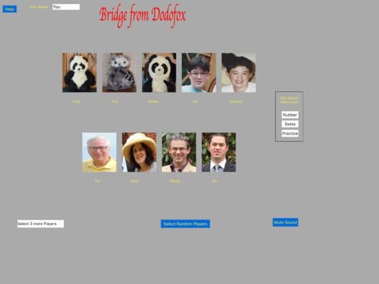 Bridge from Dodofox