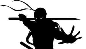 Ninja's Duel
