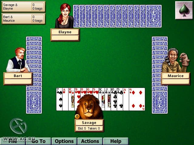 Hoyle Card Games 5