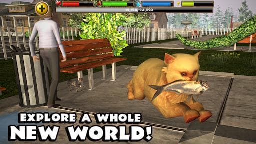 Stray Cat Simulator