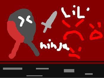 Lil' ninja