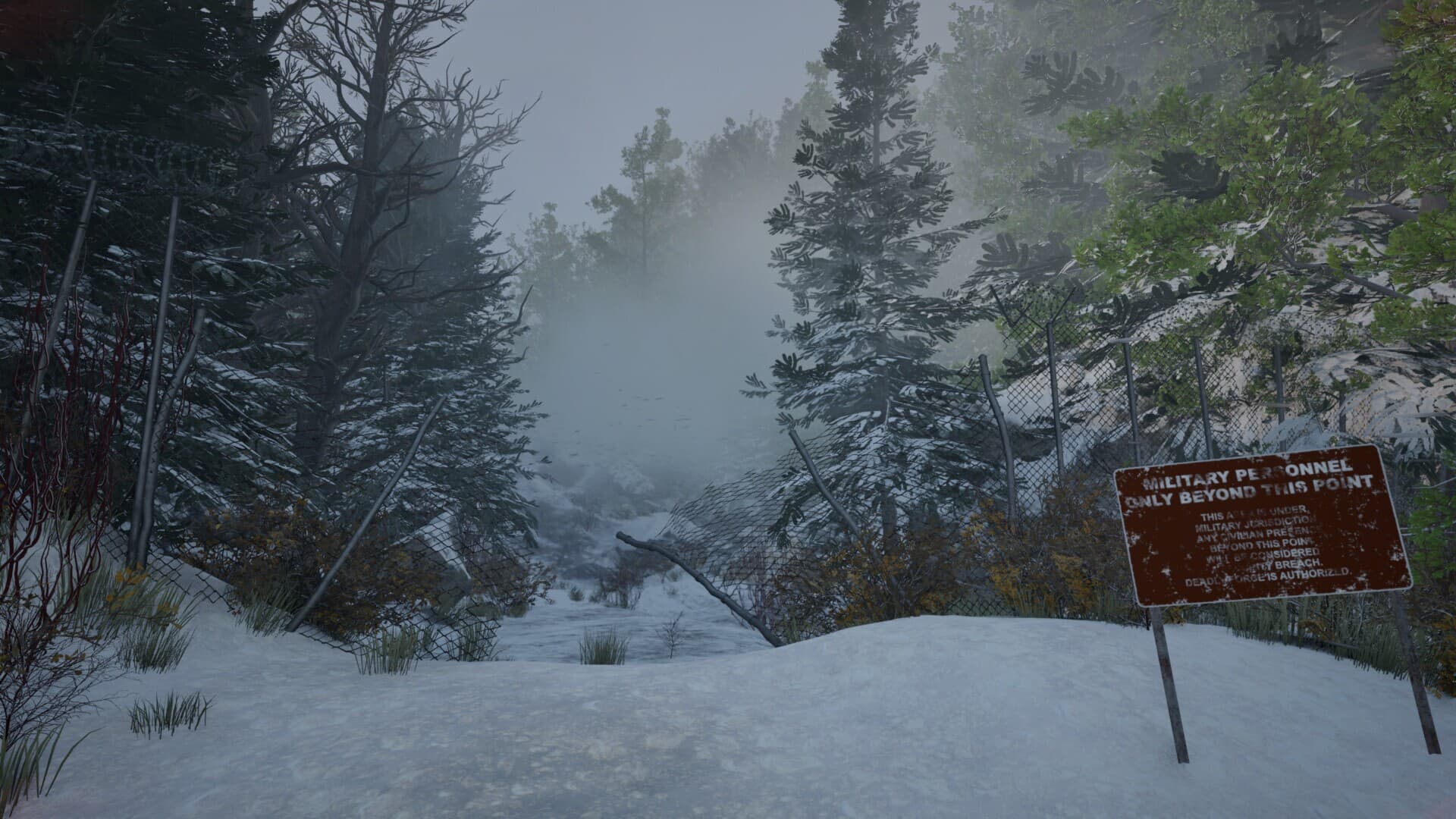 Shadow Of Winter