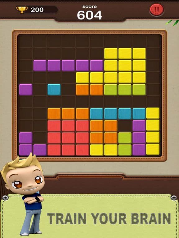 Block Color Wood Puzzle