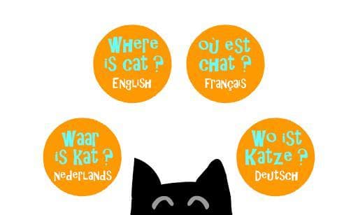 Where is cat?