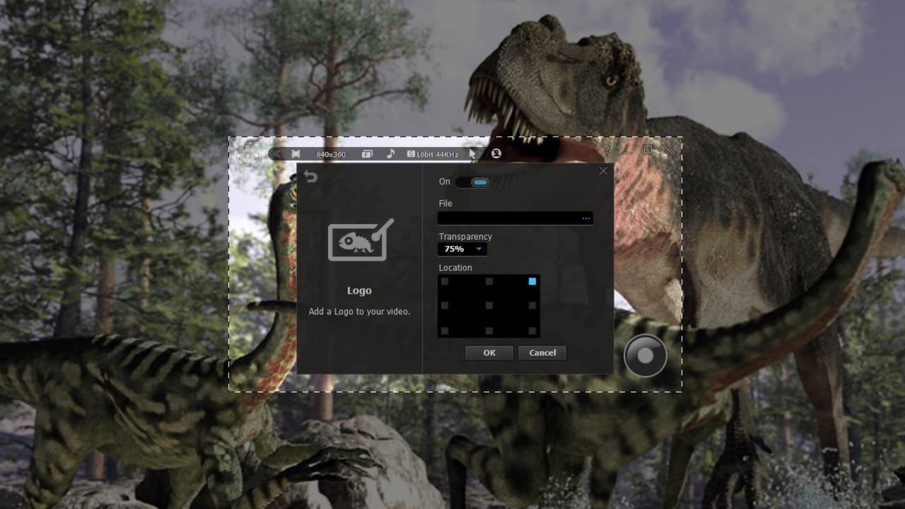 liteCam HD 5.0: Screen/Stream Capture