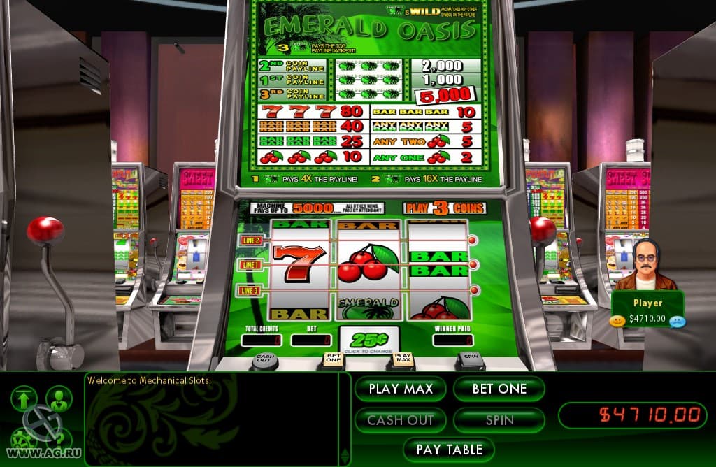 Hoyle Casino Games (2009)