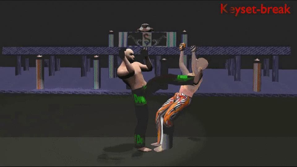 THE KICKBOXER