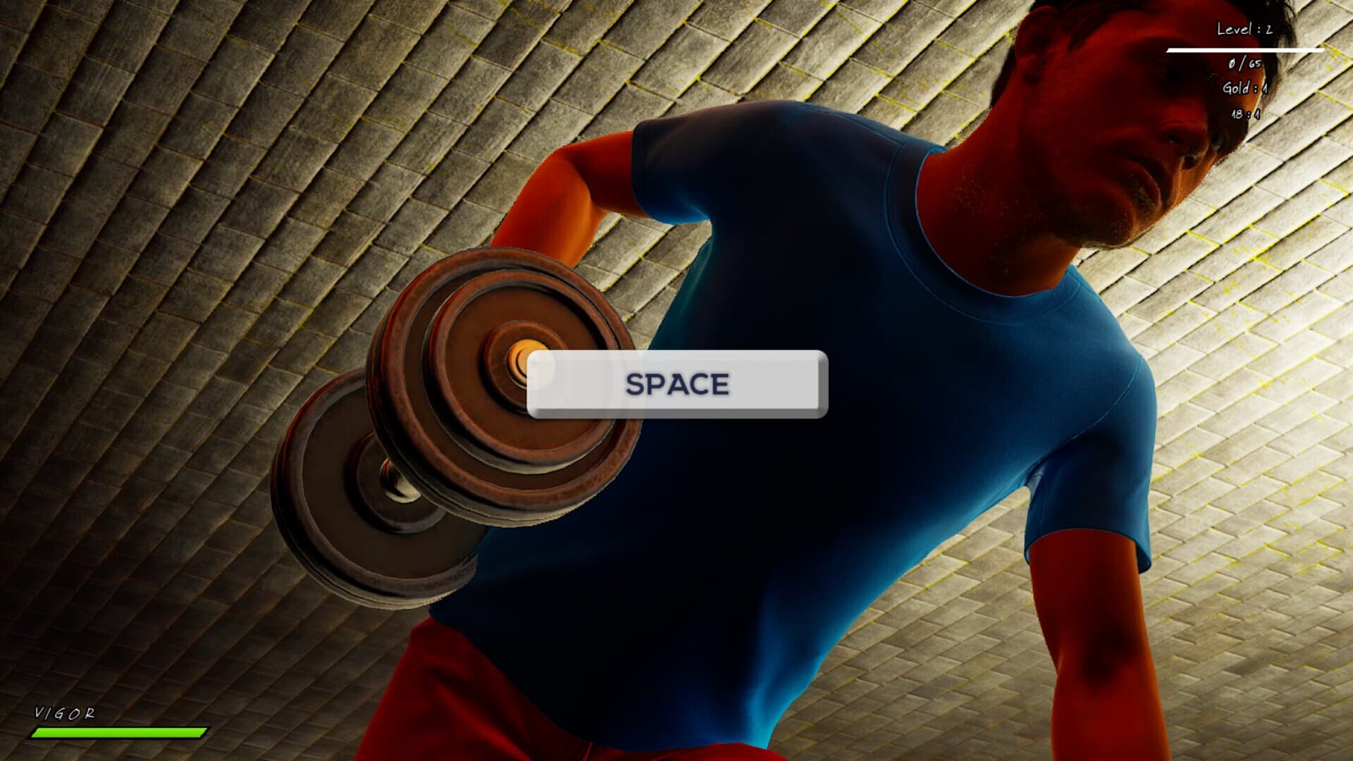 Fitness: Lifestyle