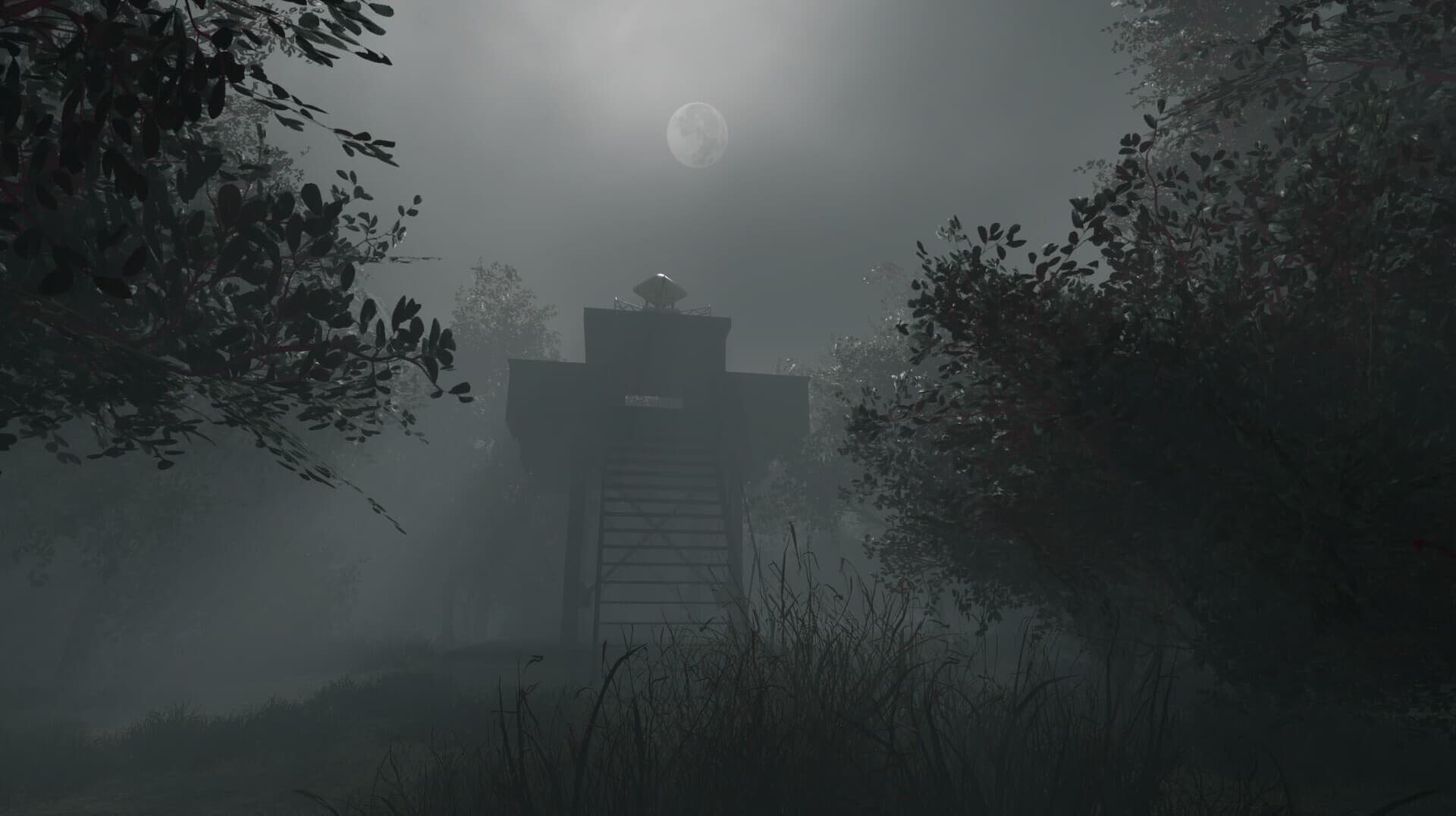 Whispering Fog