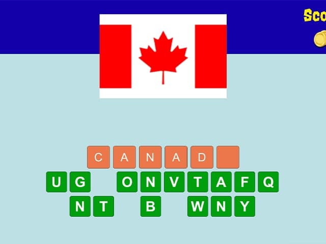 Guess Flag