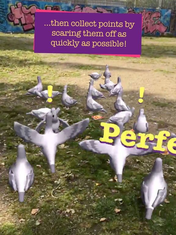 Pigeon Panic! AR