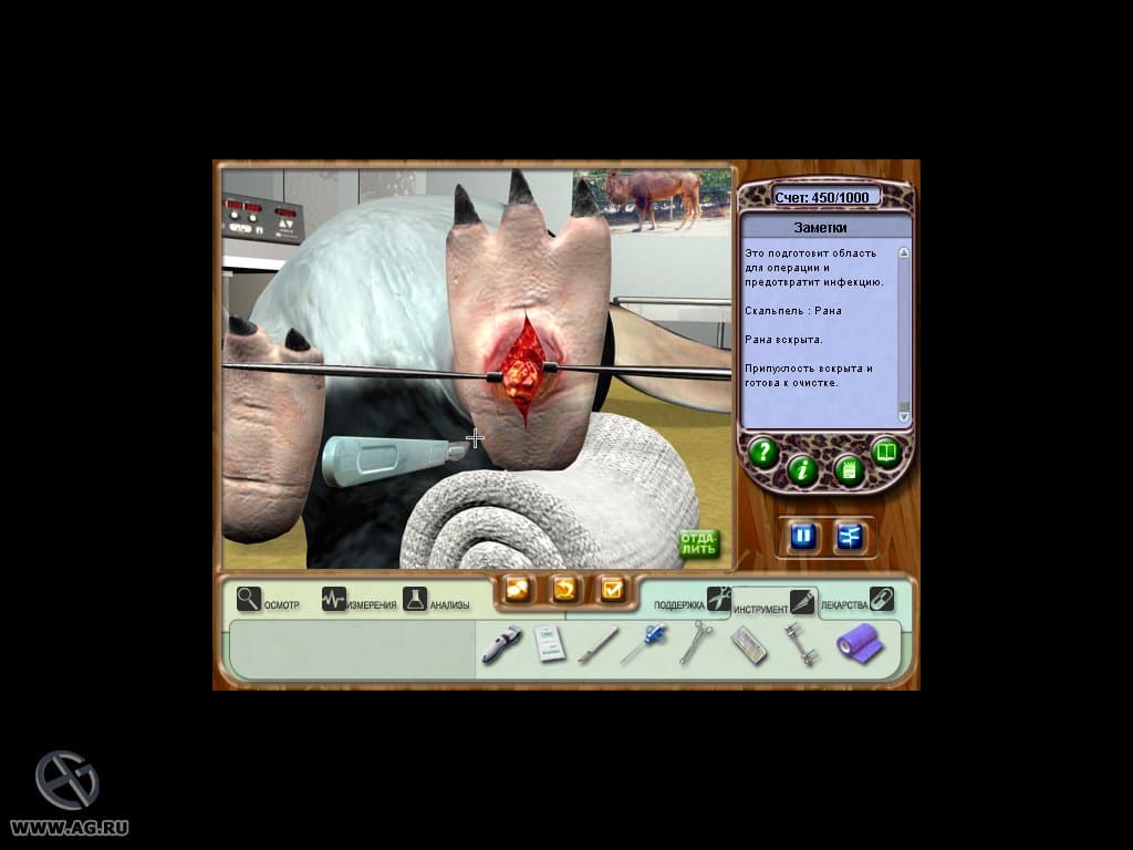 Zoo Vet